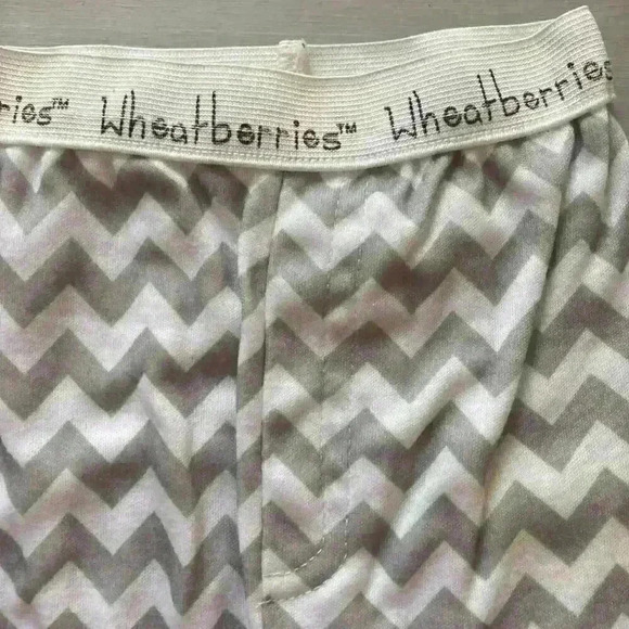 Baby Ganz Wheatberries Boutique Pajamas Set Two Piece Pajamas size 9-12 months - Picture 5 of 9